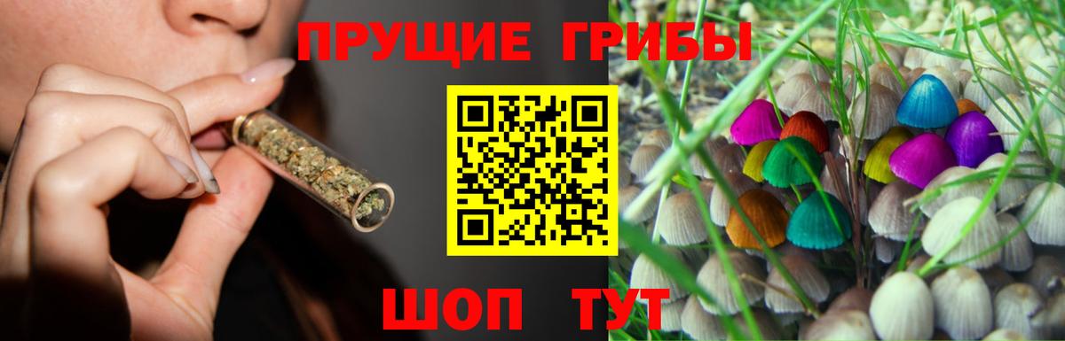 Галлюциногенные грибы MAGIC MUSHROOMS Кубинка